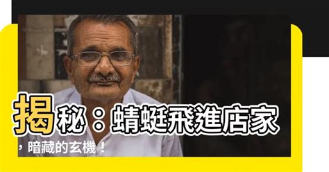 蜻蜓飛進店裡|【蜻蜓飛進店裡】蜻蜓誤闖店家！吉兆還是凶兆？一探究竟